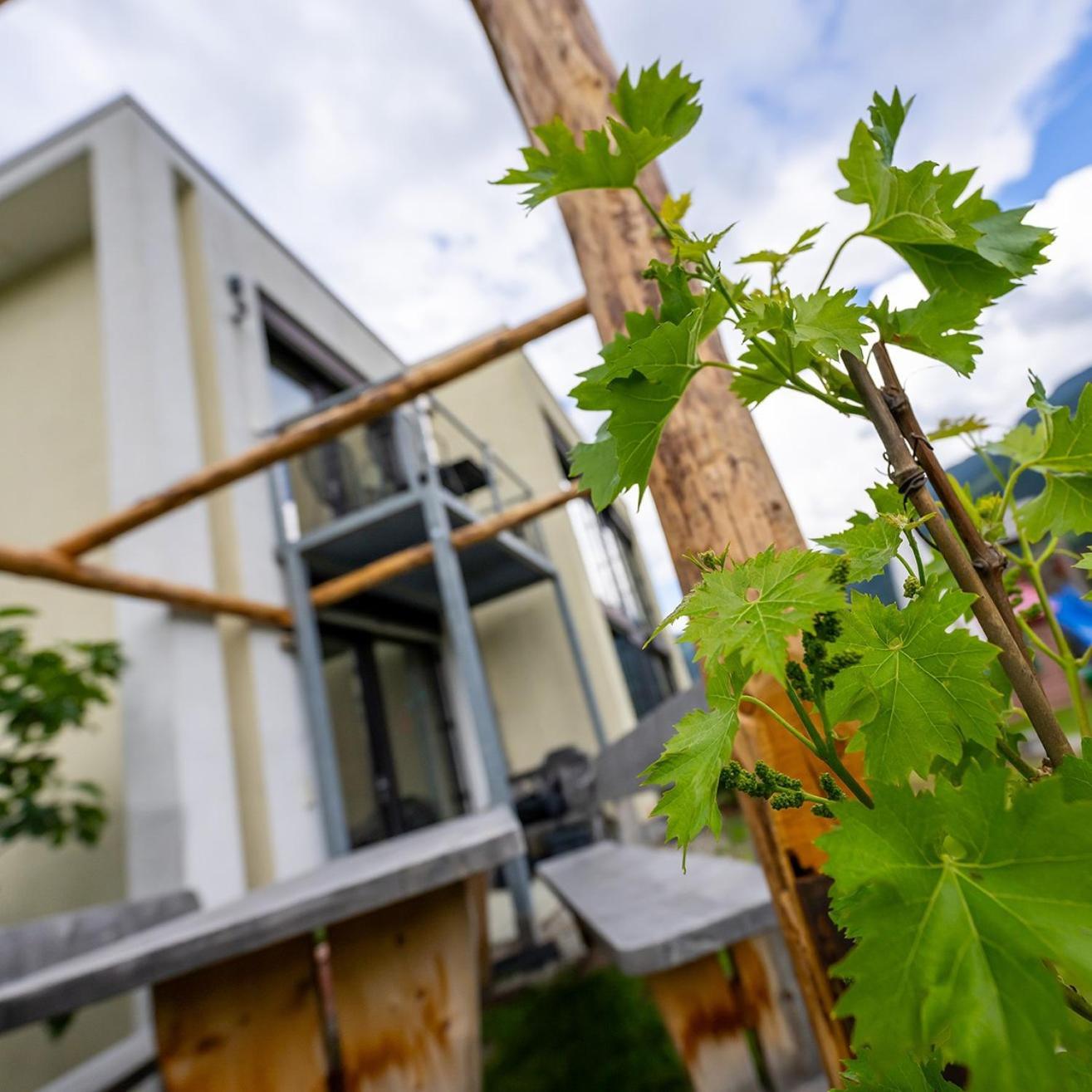 Biohof Gala Apartment Naturns Exterior photo